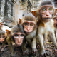 Illustration for article titled Bioengineered monkeys with human genetic diseases have almost arrived